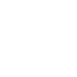 Shopping cart icon